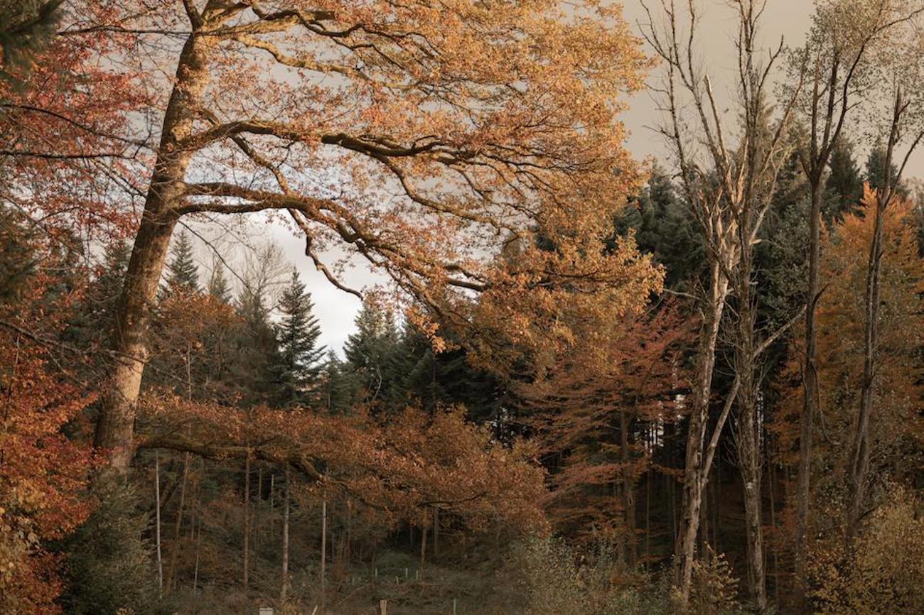 Tod und Trauer. Beides gehört zum Leben.

Foto: Luca Beba