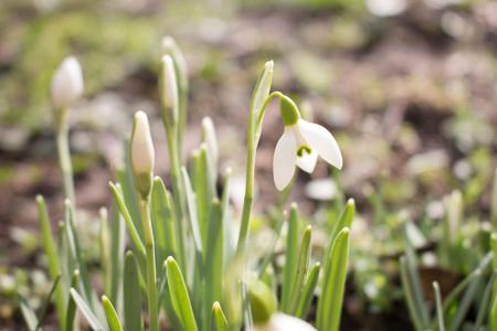 Februar – zwischendrin