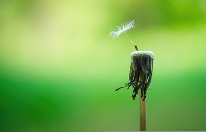 Denkpause: «Gott spricht: Siehe, ich mache alles neu!»