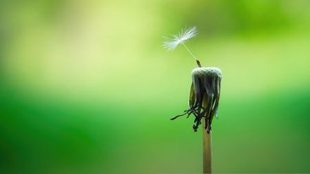 Denkpause: «Gott spricht: Siehe, ich mache alles neu!»