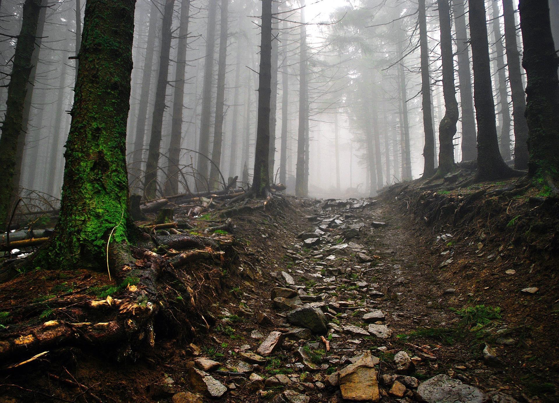 20191114-pressefoto-steiniger-weg.jpg (1)