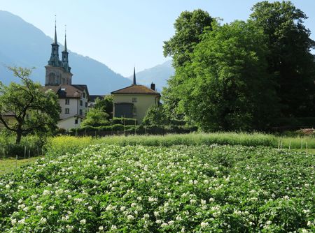 Permakultur im Wiesli: Ein Stück Glarner Erde lebt auf
