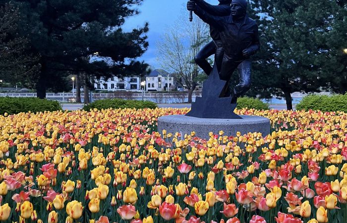 Junge Seite: Zwischen Wurzeln und neuen Blüten