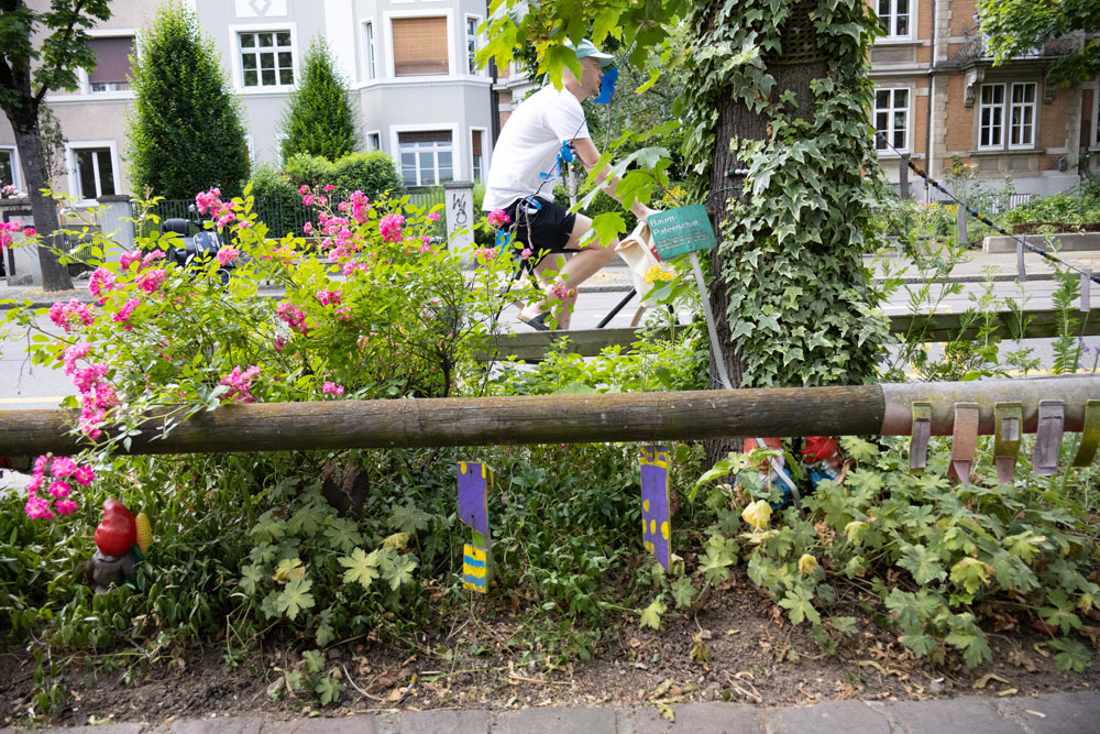 Gartenzwerge und Rosen neben einer Baumpatenschaft, mitten in der Stadt, neben der Strasse.