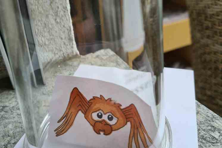 Plädoyer für Insekten