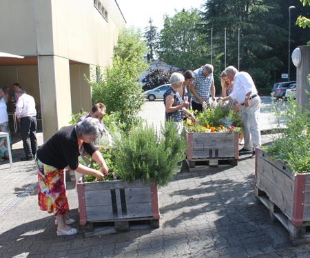 Betonwüste mit grünen Tupfern