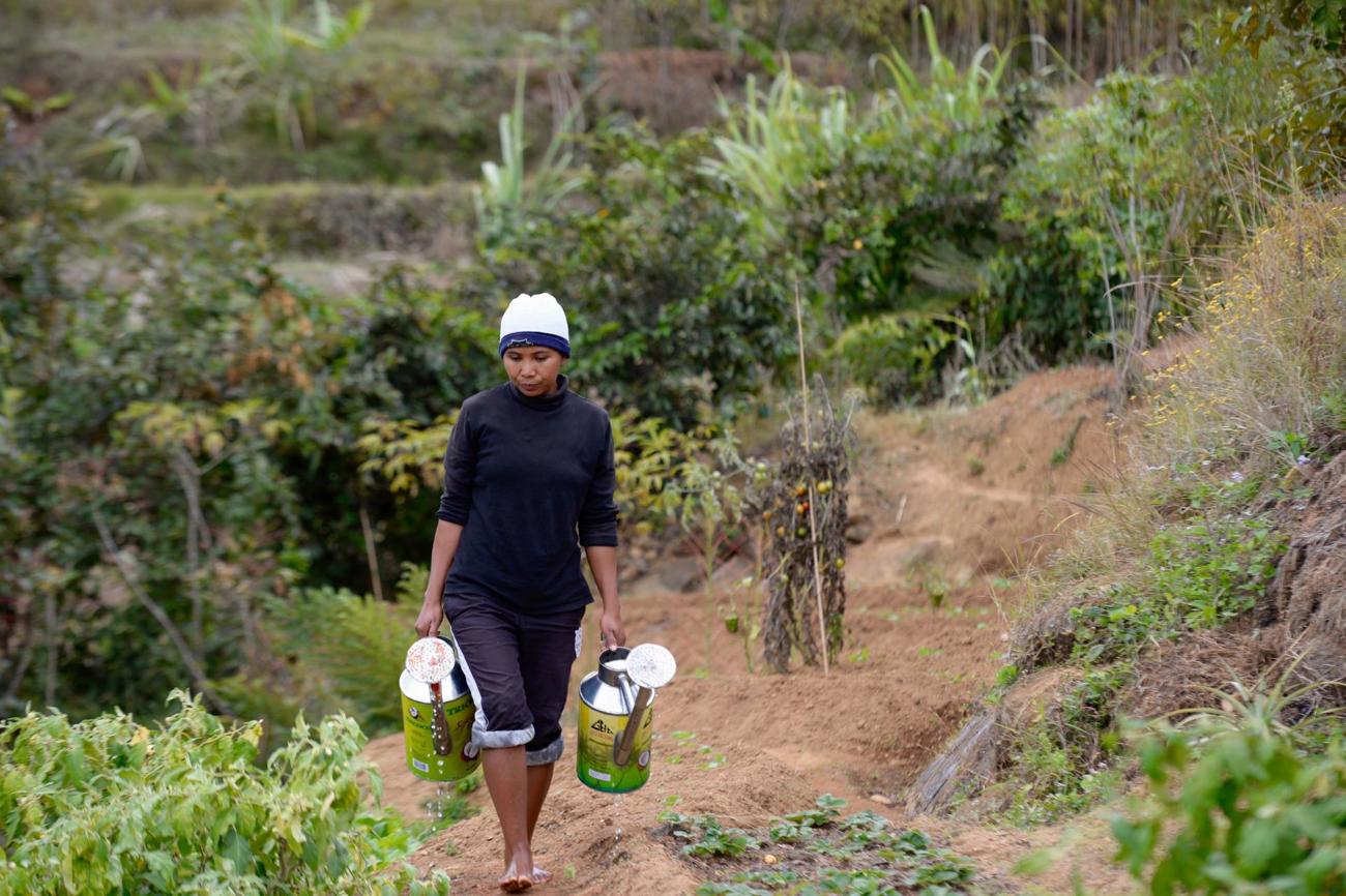 Eine Frau in Madagaskar bewässert ihre Felder.
Bild Bruno Neuenschwander (Fastenopfer)