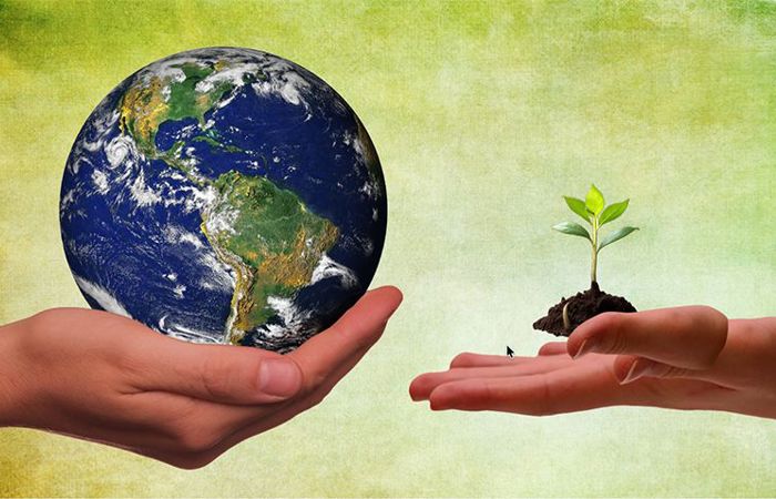 SchöpfungZeit 2026: Gottes Erde in unseren Händen