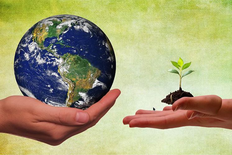 SchöpfungZeit 2026: Gottes Erde in unseren Händen