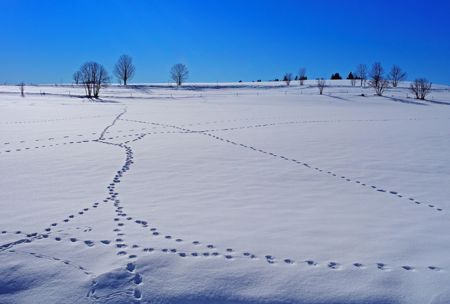 Mitten im Jahresend-Lärm