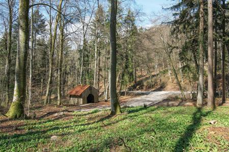 Der Täuferweg am Randen: Birnenstücke statt Fusseisen