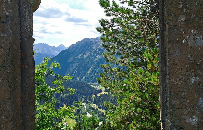 Junge Seite: Erde, wie geht es Dir?