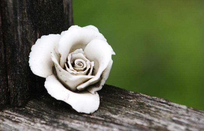 «Auf Wunsch des Verstorbenen….»