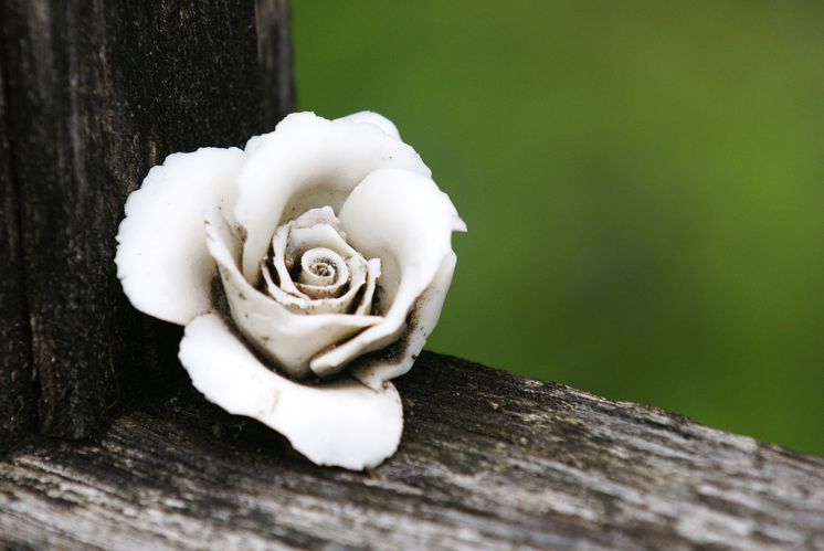 «Auf Wunsch des Verstorbenen….»