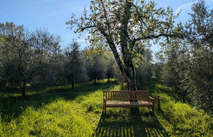 Denkpause: Ein Sonntag im Frühling