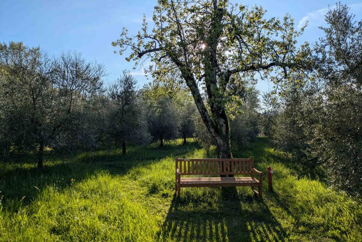 Denkpause: Ein Sonntag im Frühling