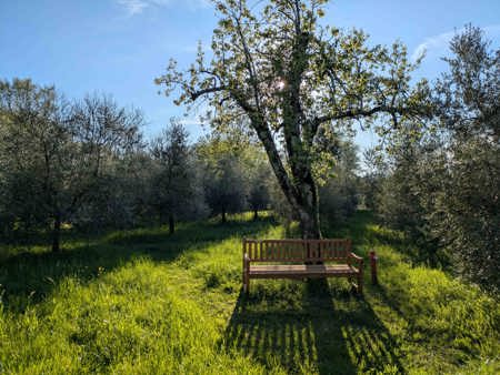 Denkpause: Ein Sonntag im Frühling