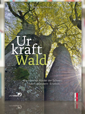 2310 Urkraft Wald Heinz Staffelbach