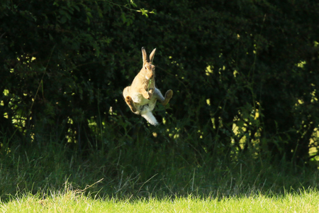 Anselm Grün: «Aus dem Grab der Resignation hinein in die Lebendigkeit des Lebens»