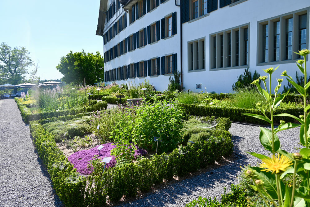 Der duftende Kräutergarten des Klosters Kappel: Eine Reise ins Land der Sinne und dem uralten Heilwissen der Zisterziensermönche. | Foto: Michael Schäppi