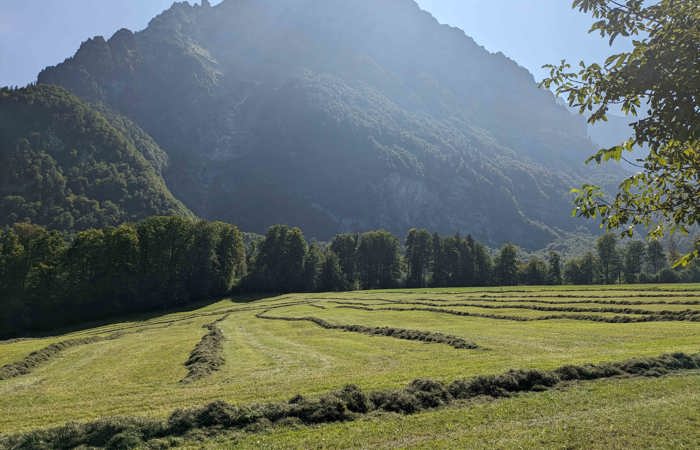 Nachgedacht: Saat und Ernte - Als Christen sind wir beides