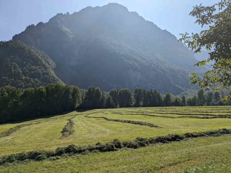 Nachgedacht: Saat und Ernte - Als Christen sind wir beides