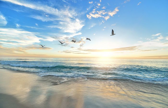 Proviant aus dem Pfarramt: Unbeschwerte Sommerferien?