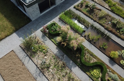 Der Bibelgarten in Gossau zeigt rund fünfzig Pflanzen, die in der Bibel erwähnt werden. (Bild: zVg) Der Bibelgarten in Gossau zeigt rund fünfzig Pflanzen, die in der Bibel erwähnt werden. (Bild: zVg)
