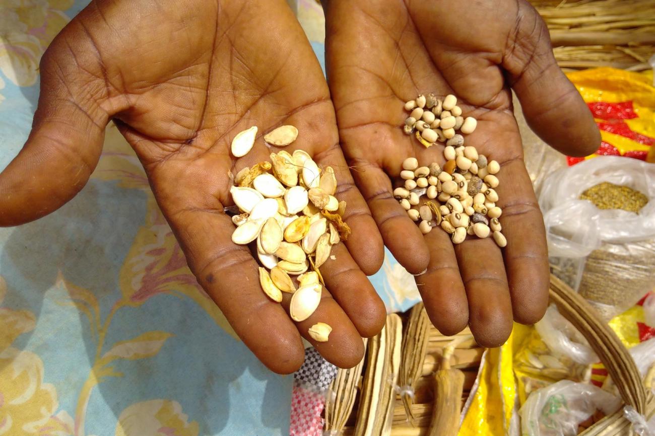 Saatgut im Senegal. 
Bild Brot für alle/Fastenopfer