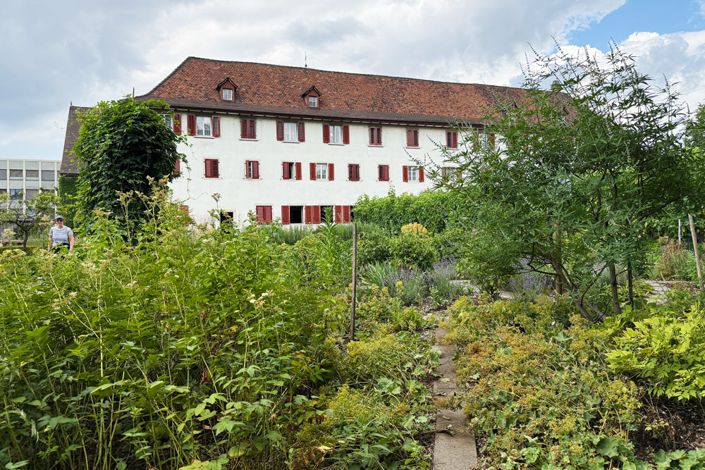 Auf den ersten Blick wild, tatsächlich sorgfältig angelegt: Der Klostergarten von Dornach gliedert sich in Beete voller Kräuter, Blumen und Fruchtbäume. | Foto: Nicole Noelle