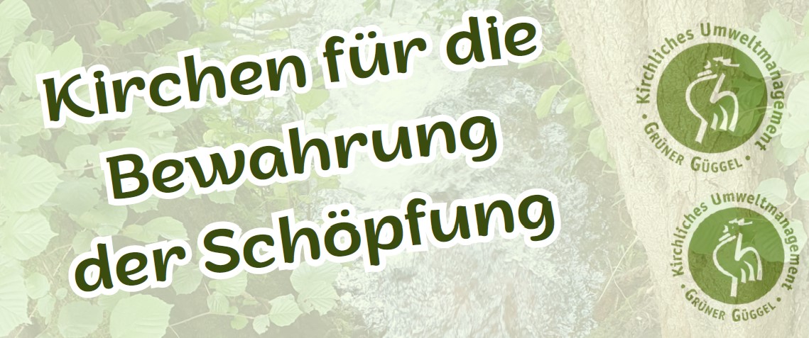 Infoanlass_Gruener_Gueggel.jpg