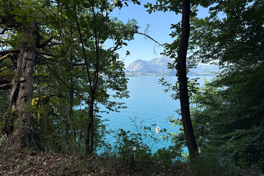 Dort unten, irgendwo im Thunersee, soll der Drache versunken sein, den der Heilige Beatus einst mit seinem Kreuz aus den Höhlen vertrieben hat. | Foto: Nicole Noelle