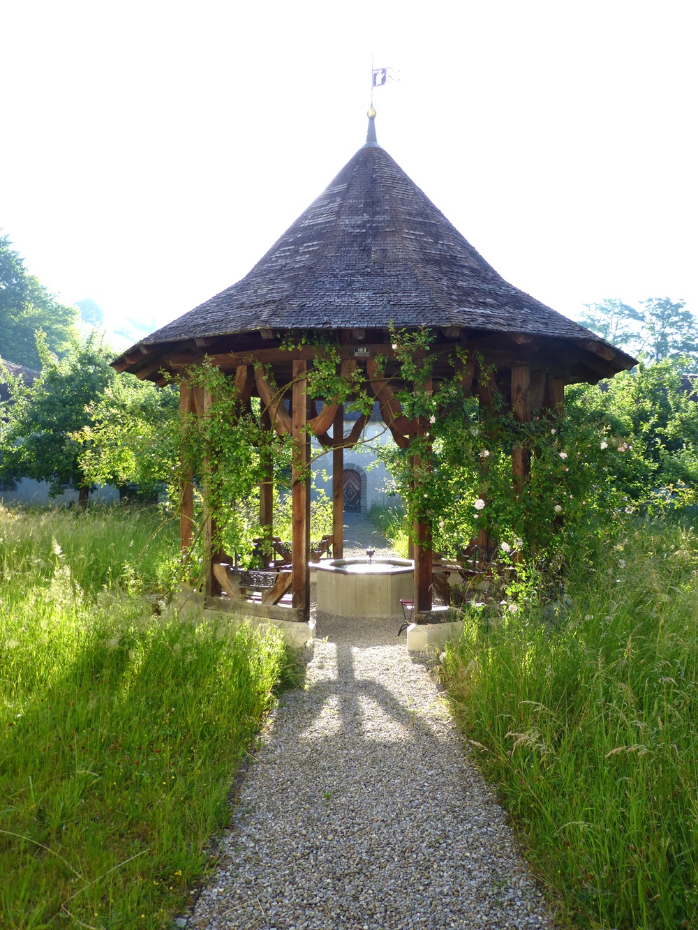 P1040369_bearbeitet.jpg (10)