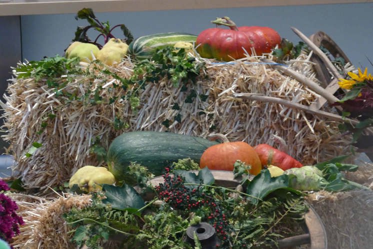 Denkpause zu Erntedank: Staunen und Danken