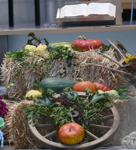 Denkpause zu Erntedank: Staunen und Danken